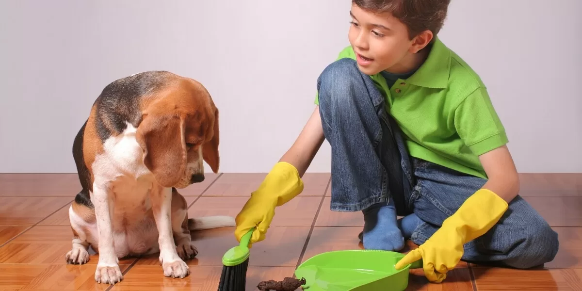 Odată ce copilul intră la școală, își dezvoltă capacitatea de a înțelege sarcini mai complexe